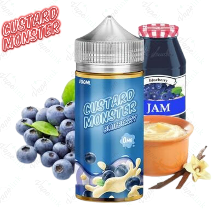 Blueberry 100ml